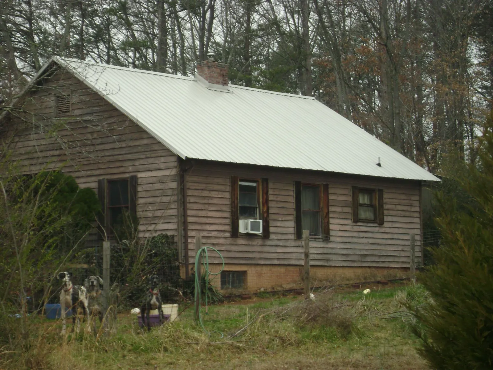 White metal roof on an old wood sided farmhouse, from a Asphalt Shingle Roof Repair job in Belmont